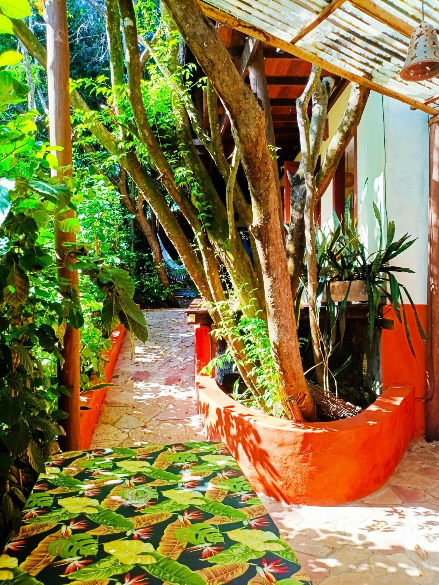Praia de Pipa Pipa Zen Guest House מראה חיצוני תמונה